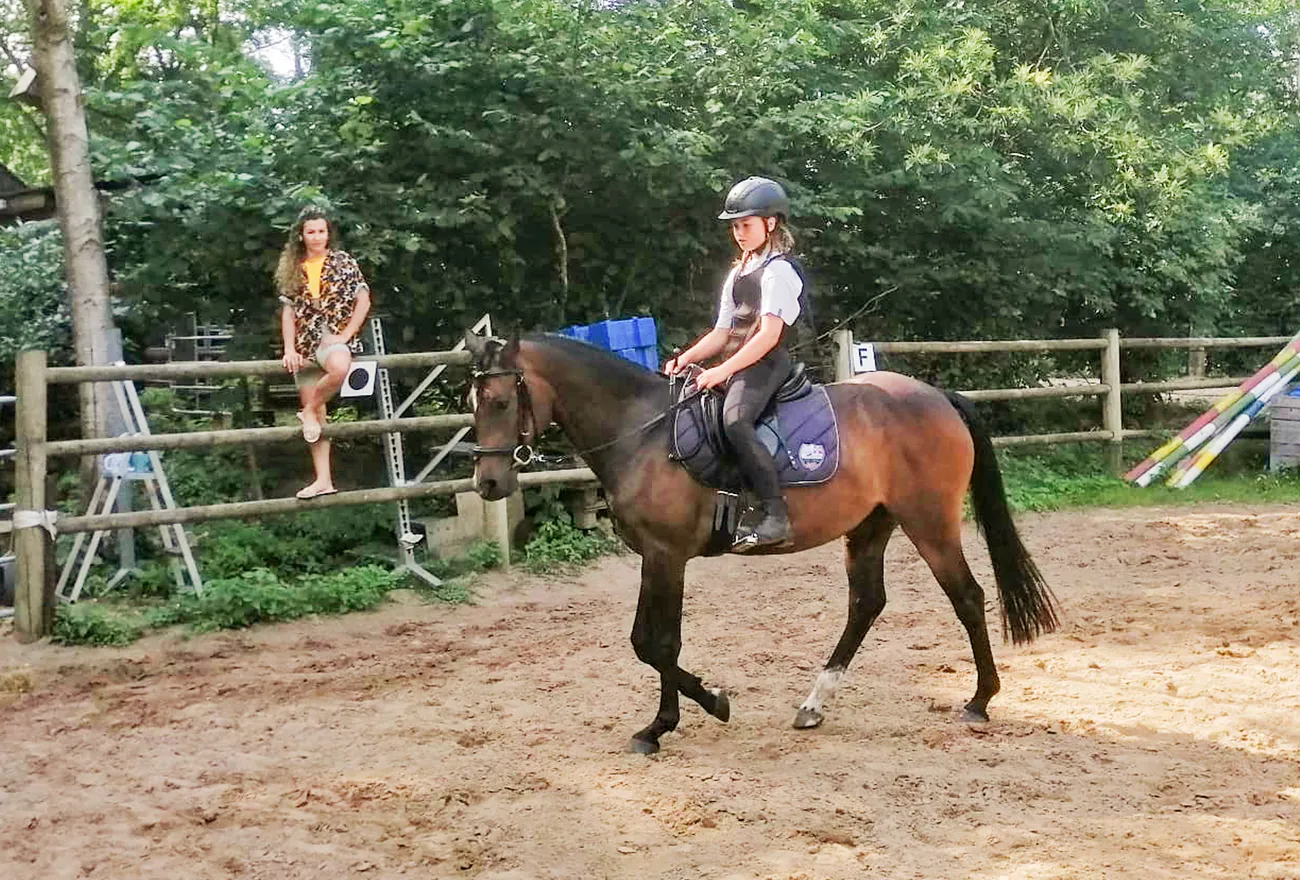 Reitunterricht auf dem Sommer-Reitplatz: Eine Jugendliche trabt auf einem braunen Pferd