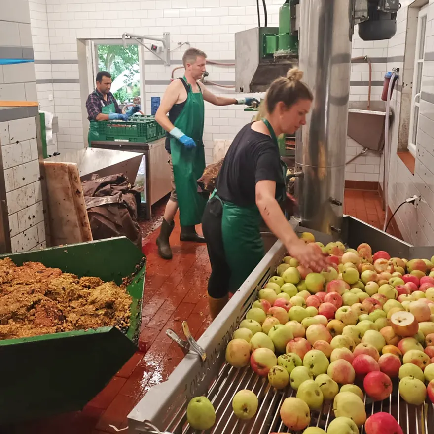 Frisch geerntete Äpfel in der Mosterei fabelsaft